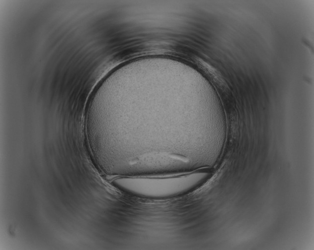 X0000091231178200709061513
