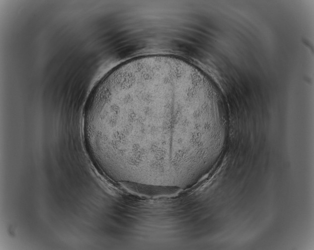 X0000091231179200709061513