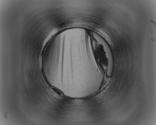 X0000091231180200709061513
