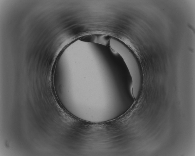 X0000091231181200709061513