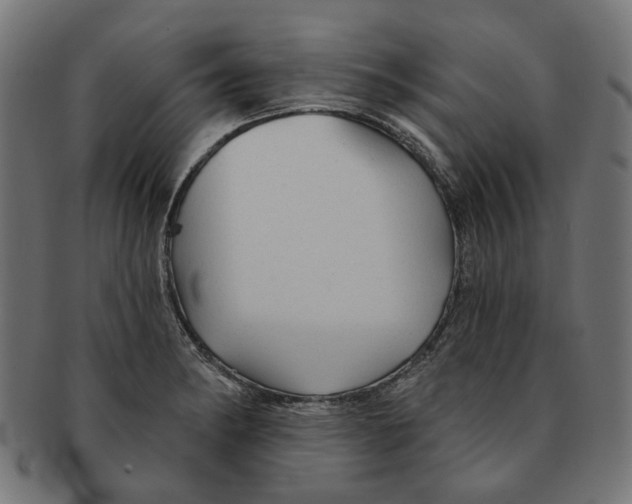 X0000091231182200709061513