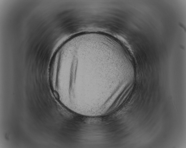 X0000091231183200709061513
