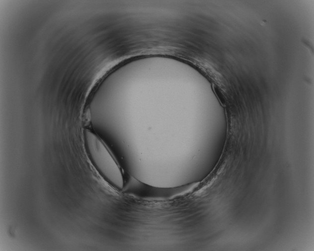 X0000091231184200709061513