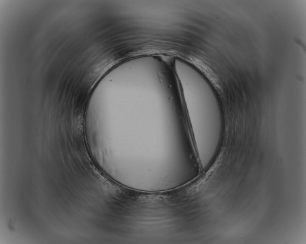 X0000091231185200709061513