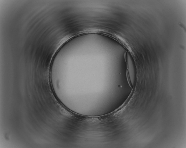 X0000091231186200709061513