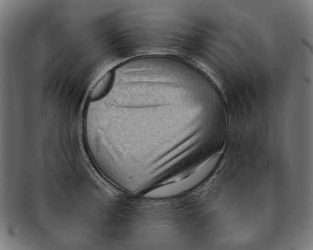 X0000091231187200709061513