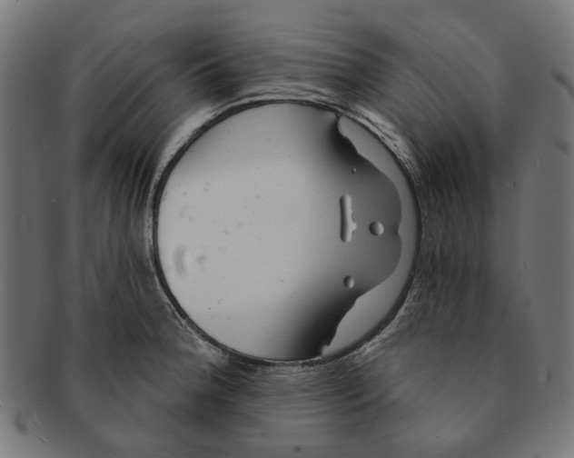 X0000091231188200709061513
