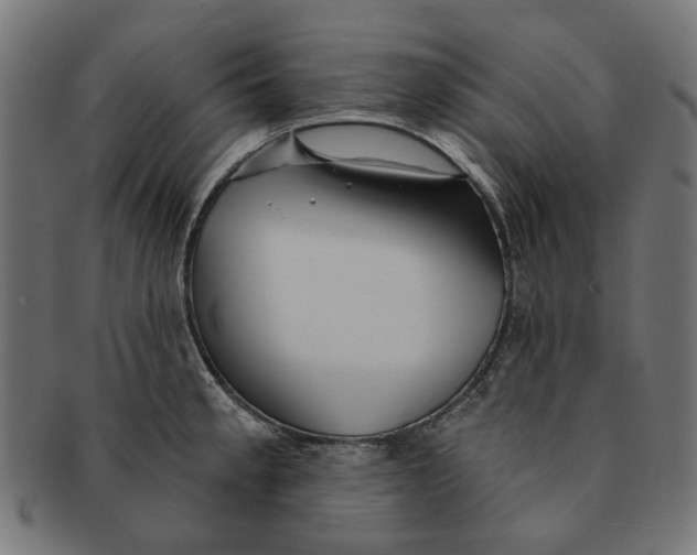 X0000091231189200709061513