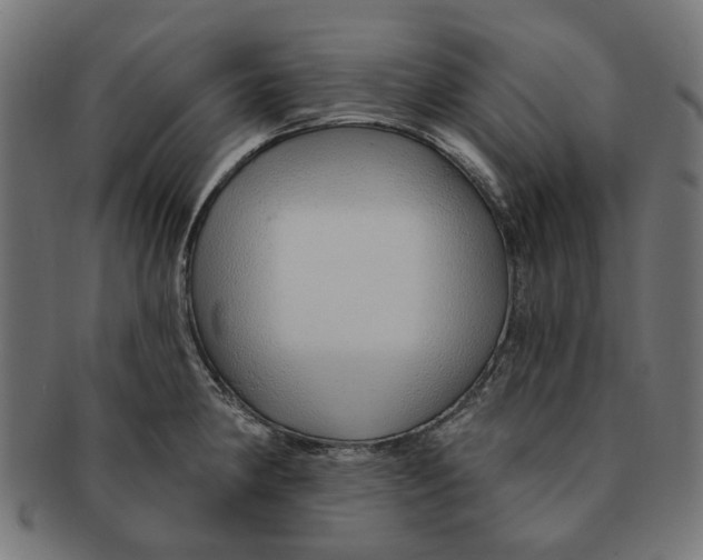 X0000091231190200709061513