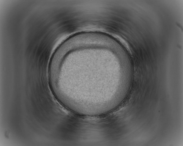 X0000091231191200709061513