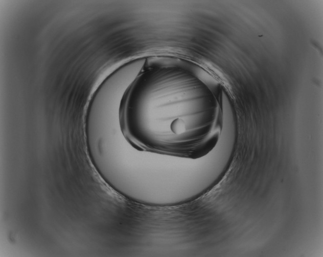 X0000091231192200709061513