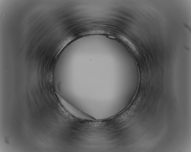 X0000091231193200709061513