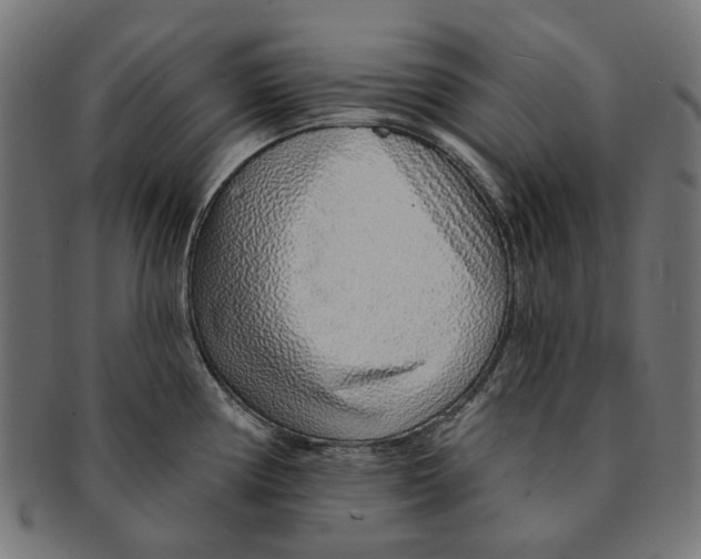 X0000091231194200709061513