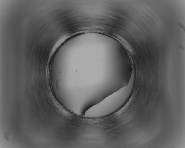 X0000091231196200709061513