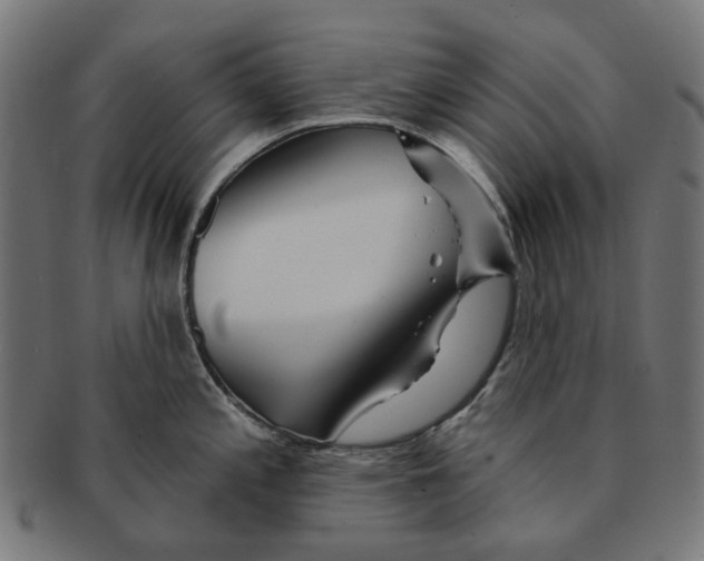 X0000091231197200709061513