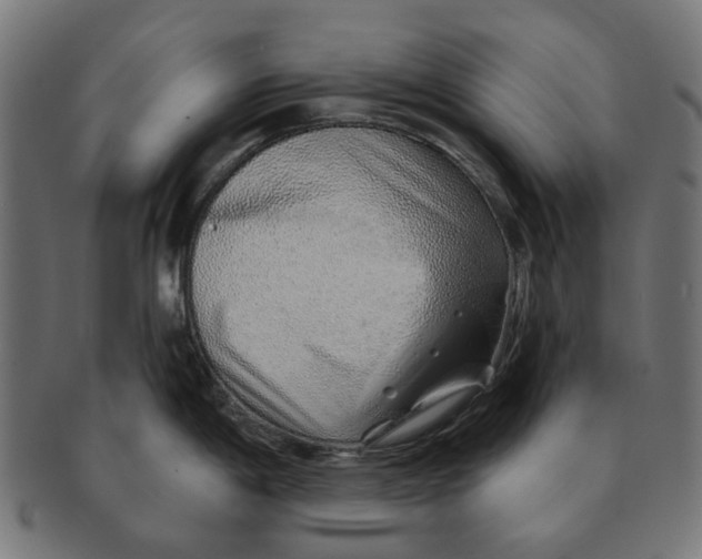 X0000091231198200709061513