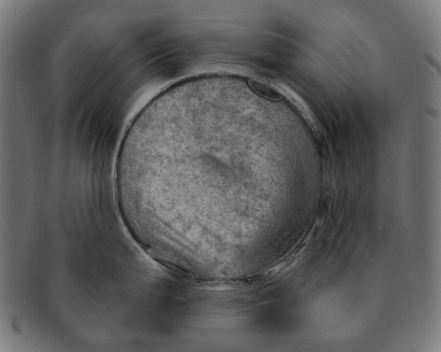 X0000091231199200709061513