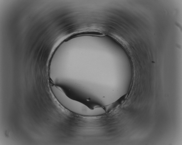 X0000091231200200709061513