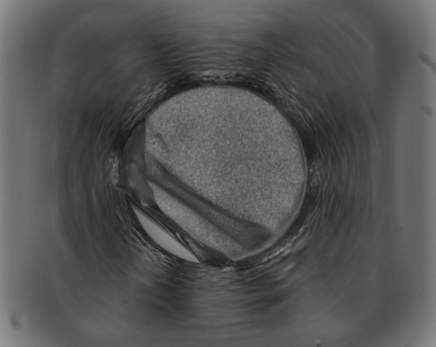 X0000091231202200709061512