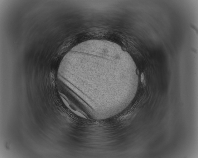 X0000091231203200709061512