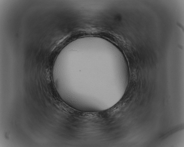 X0000091231205200709061512