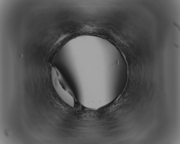 X0000091231206200709061512
