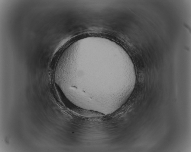X0000091231208200709061512