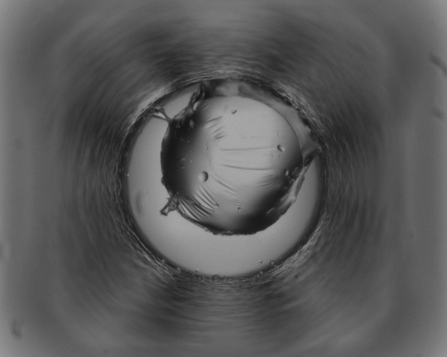 X0000091231210200709061512