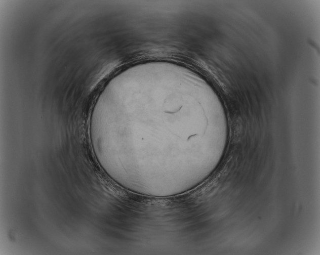 X0000091231211200709061512