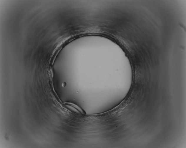 X0000091231212200709061512