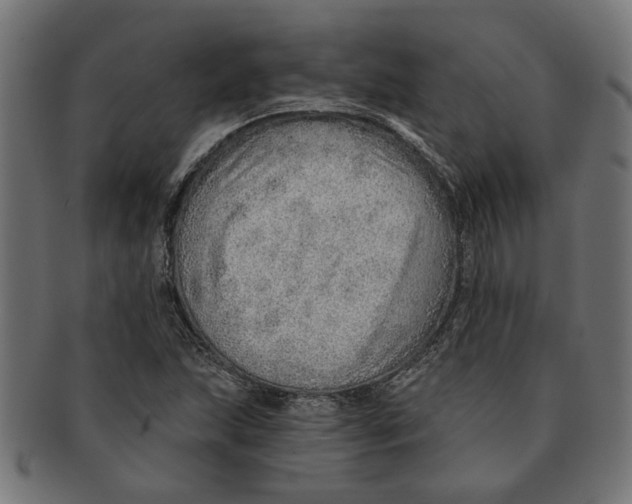 X0000091231215200709061512
