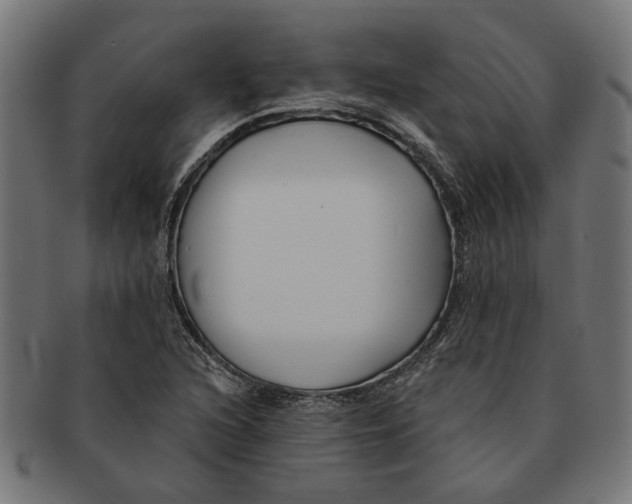 X0000091231216200709061512