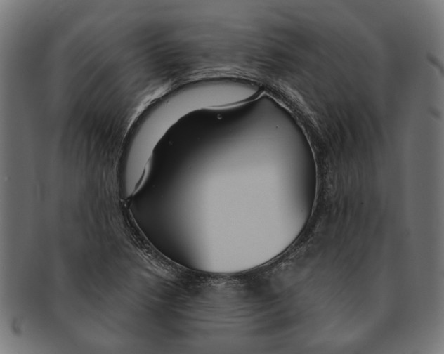 X0000091231218200709061512