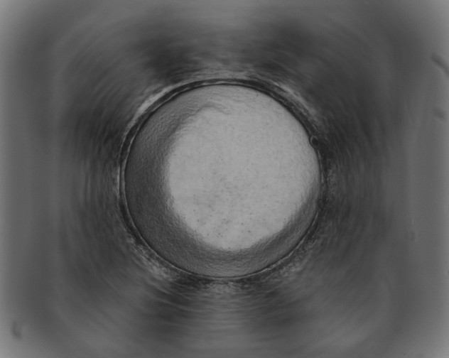 X0000091231220200709061512