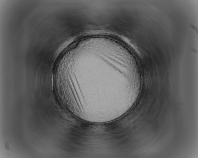 X0000091231221200709061512