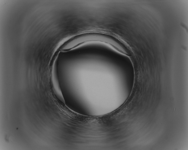 X0000091231222200709061512