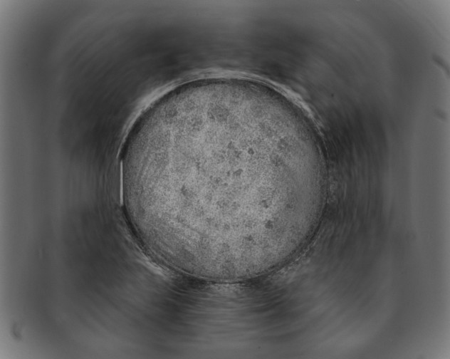X0000091231223200709061512