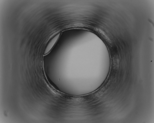 X0000091231225200709061512