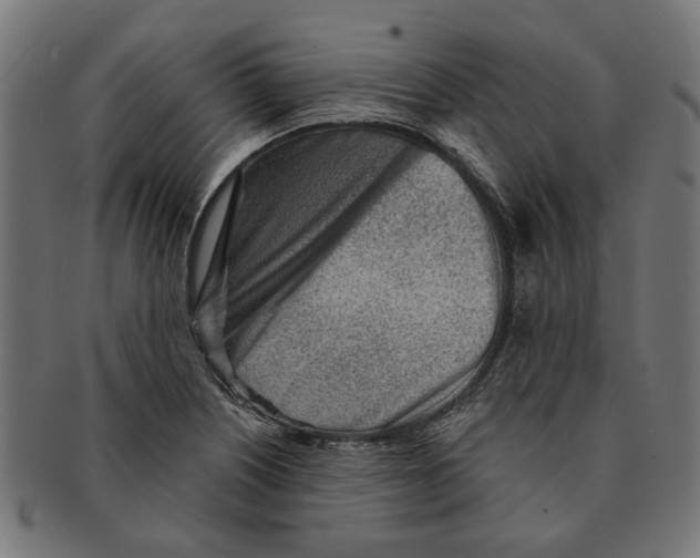 X0000091231226200709061512