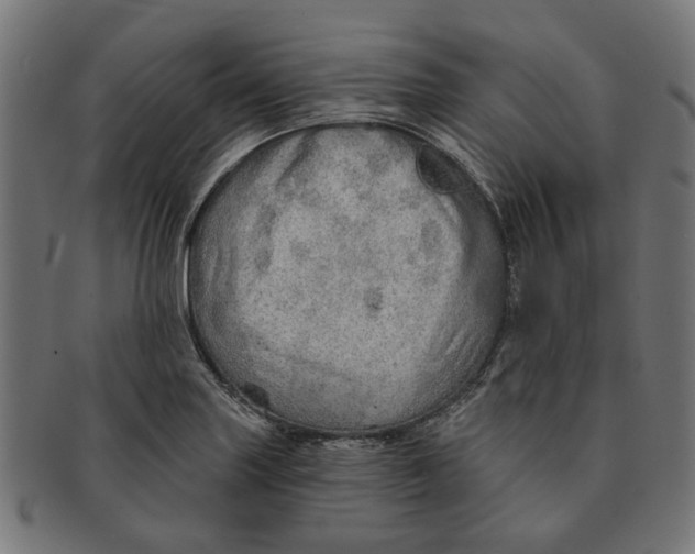 X0000091231227200709061512