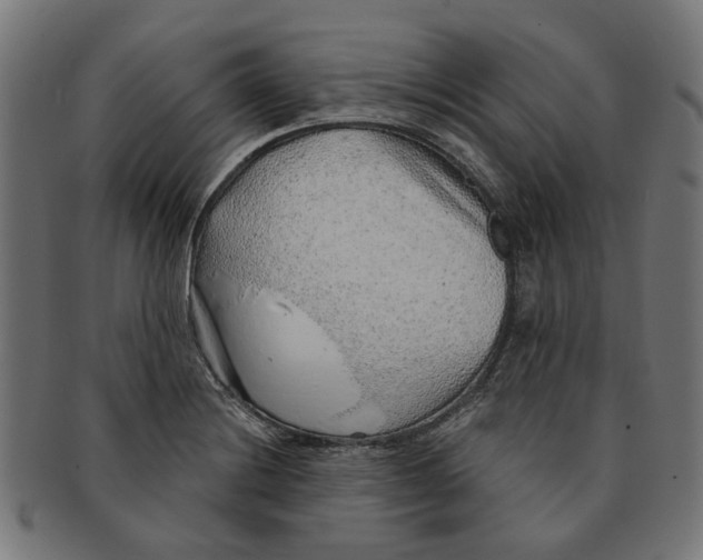 X0000091231228200709061512