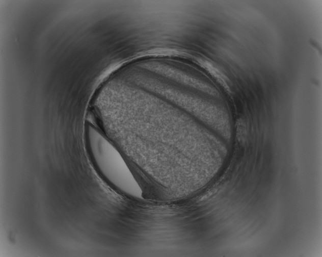 X0000091231229200709061513
