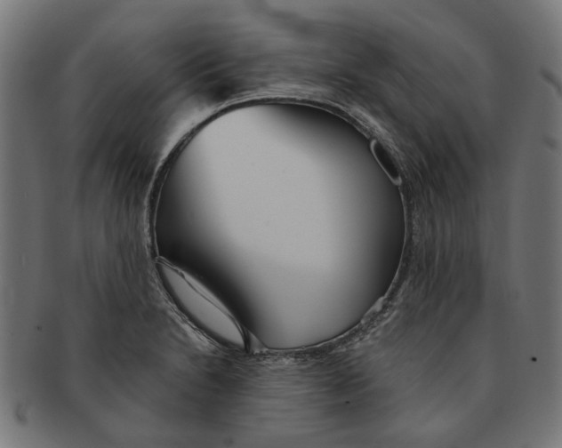 X0000091231230200709061513