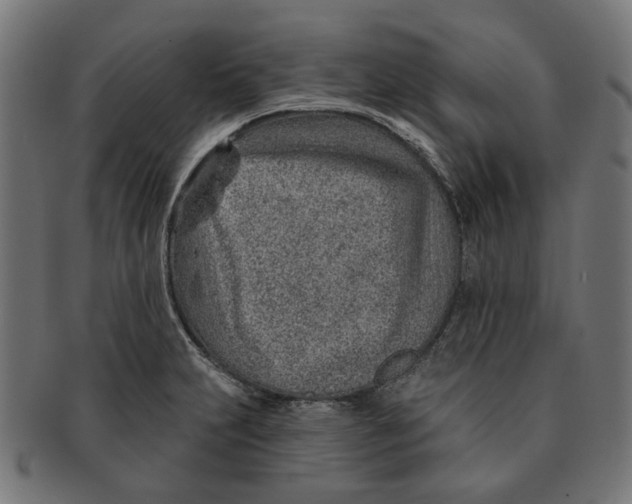 X0000091231231200709061513
