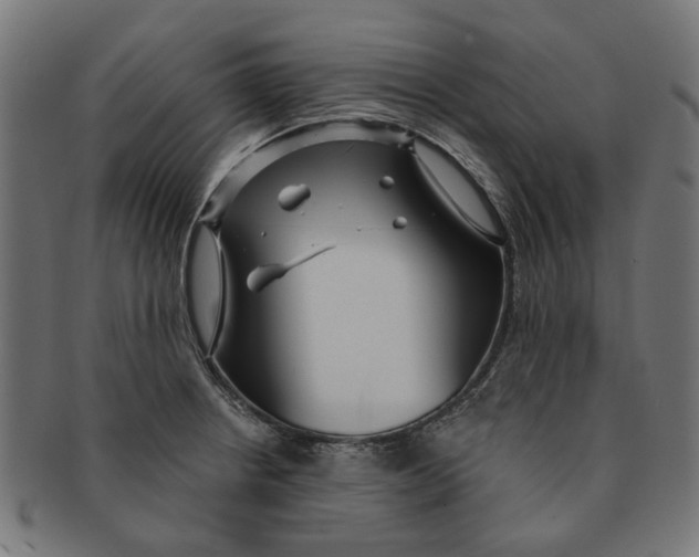 X0000091231234200709061513