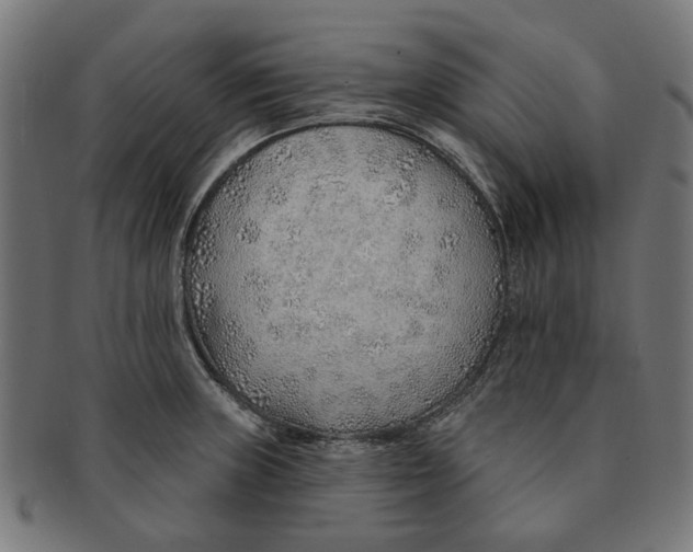 X0000091231235200709061513