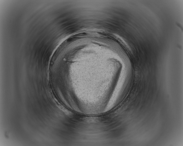 X0000091231236200709061513
