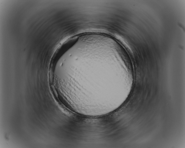 X0000091231237200709061513