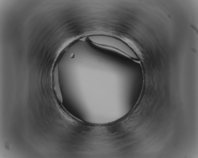 X0000091231238200709061513