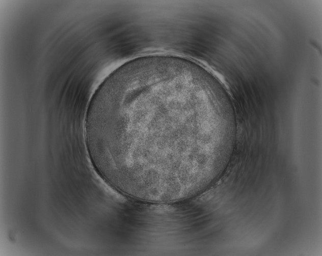 X0000091231239200709061513